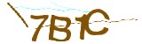 Mã bảo mật