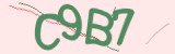 Mã bảo mật