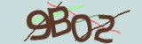 Mã bảo mật