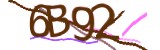 Mã bảo mật