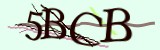 Mã bảo mật
