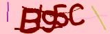 Mã bảo mật