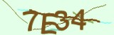 Mã bảo mật