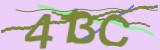 Mã bảo mật
