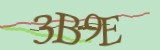 Mã bảo mật